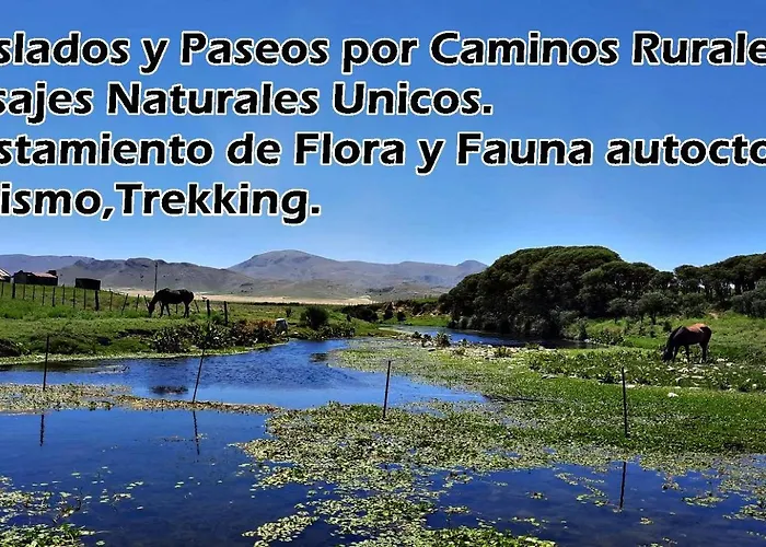 Lo De La Nercida