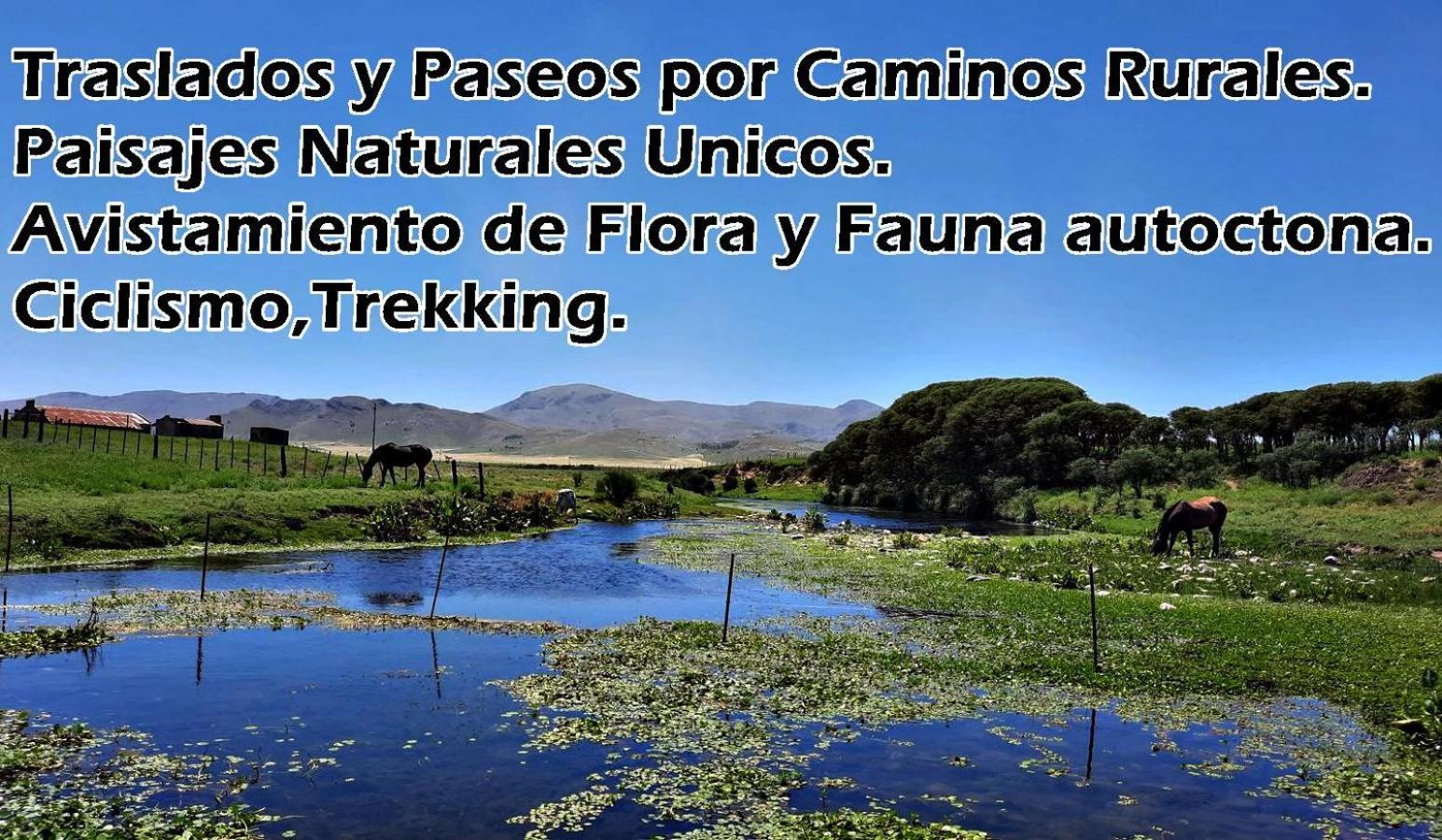 Lo De La Nercida *